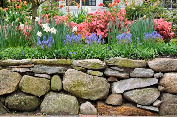 Stone Wall Hardscaping in Saint Cloud