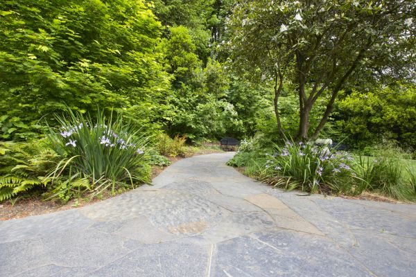 Stone Hardscape Service in Saint Cloud